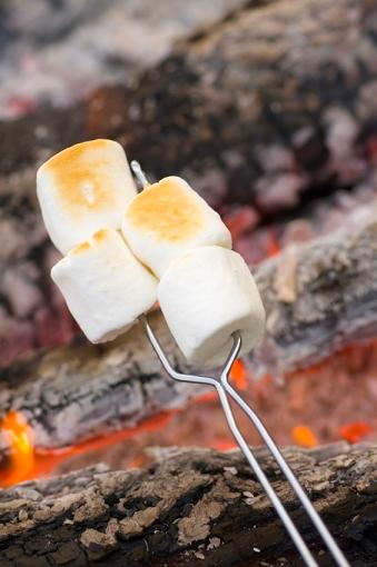 Campfire Cooking Recipe